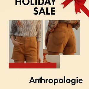 Anthropologie Pilcro Copper Denim Vacation Shorts 25